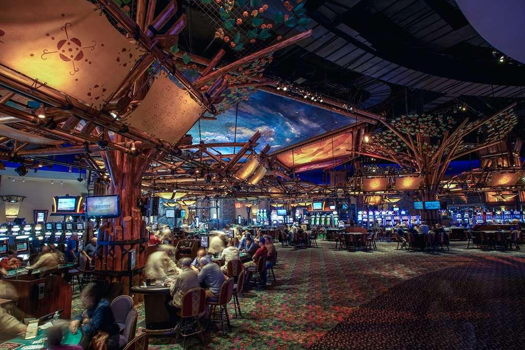Отель Mohegan Sun Анкасвилл Удобства фото